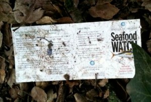 Lost Seafood Watch card becomes litter